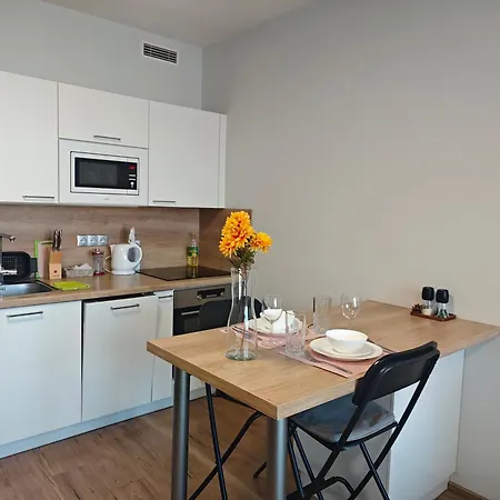 Apartmán Comfort Flat With Great Location Praha